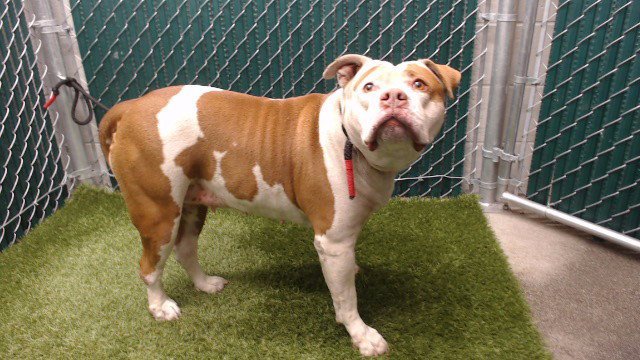 NALA Image