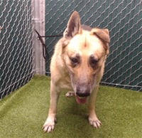 ZEUS LINK - Photo 1