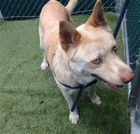 EDDIE - Photo 1