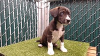 SKYE - Photo 1