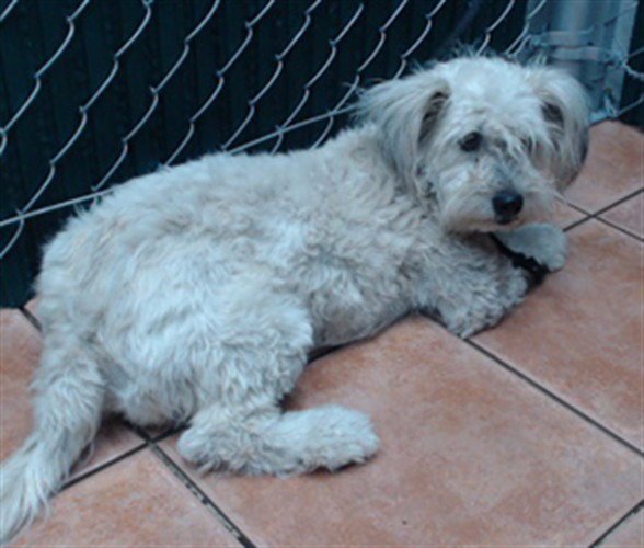 EMMIE Image