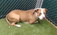 ZEUS - Photo 1