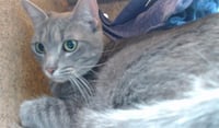 CLEO - Photo 1