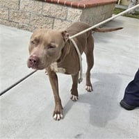 ARTURO - Photo 1