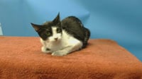 TINY - Photo 1