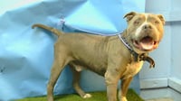 RUDEY - Photo 1