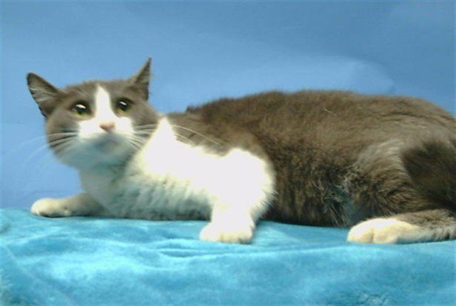 LOTTI-MAY Image