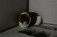 A5797161 - Photo 1