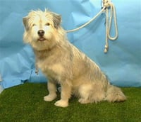 NALA - Photo 1