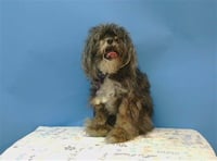 ZOEY - Photo 1