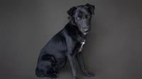 A5794774 - Photo 1