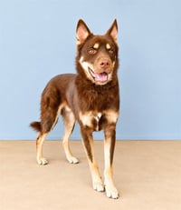 NUKA - Photo 1