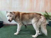 HERO - Photo 1