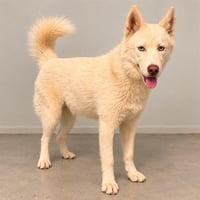 MURPHY - Photo 1