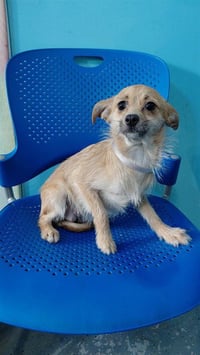 MUNECA - Photo 1