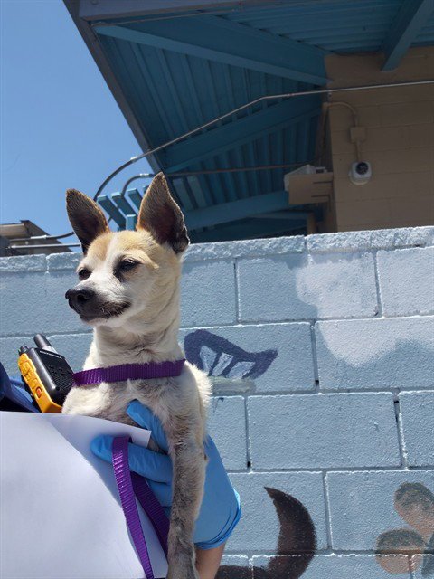 A5790557 Image