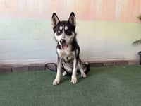 LUNA - Photo 1