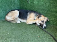 JACK - Photo 1
