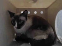 CLEO - Photo 1