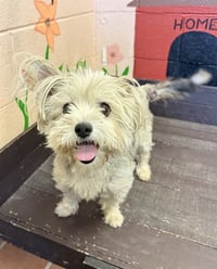 BELLA - Photo 1