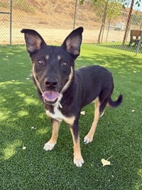 CUBBY - Photo 1