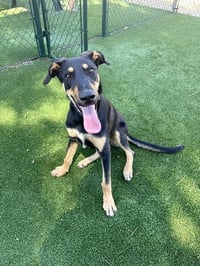HOPSCOTCH - Photo 1