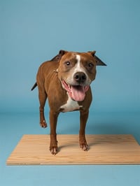 ZOEY - Photo 1