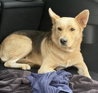 ETHEL - Photo 1