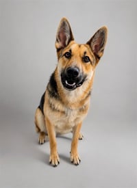 MAX - Photo 1