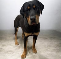 MAX - Photo 1