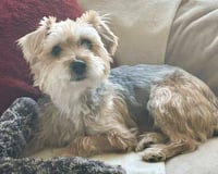 Annie - Photo 3