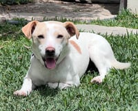 Addie - Photo 3
