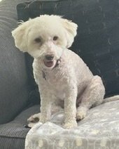 Maggie - Photo 5