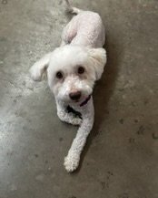 Maggie - Photo 3