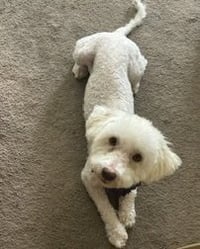 Maggie - Photo 6