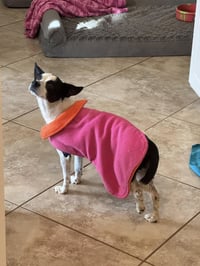 Evie - Photo 22