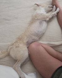 Otis - Photo 15