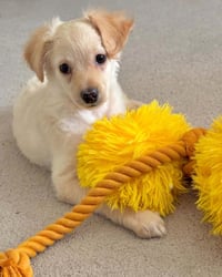 Kai - Photo 4