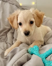 Kai - Photo 5
