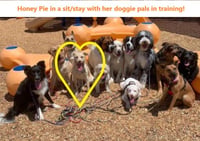 Honey Pie - Photo 10