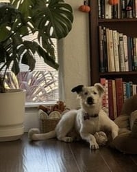 Dolly - Photo 5
