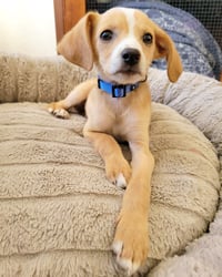 Max - Photo 1