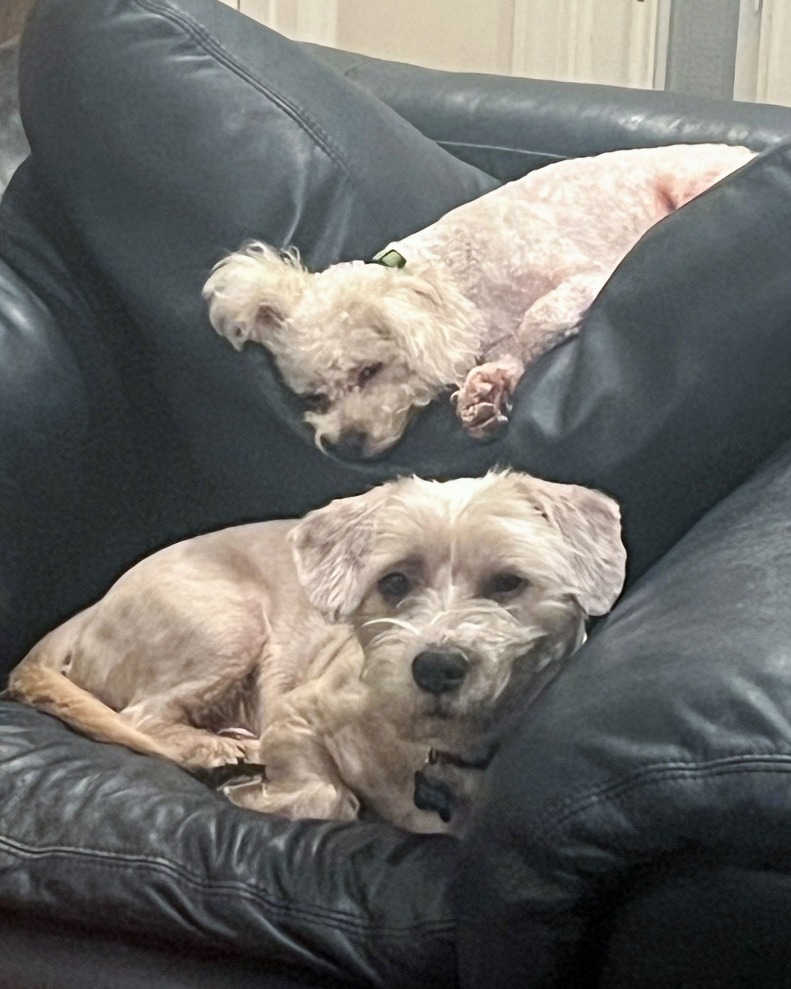 Marty McFly - Photo 3