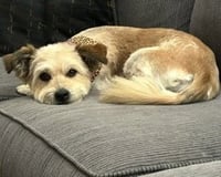 Sienna - Photo 6