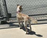 Sienna - Photo 8