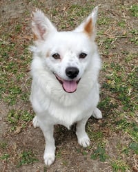 Miles - Photo 1