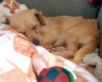 Sandy - Photo 3