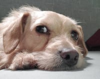 Sandy - Photo 4