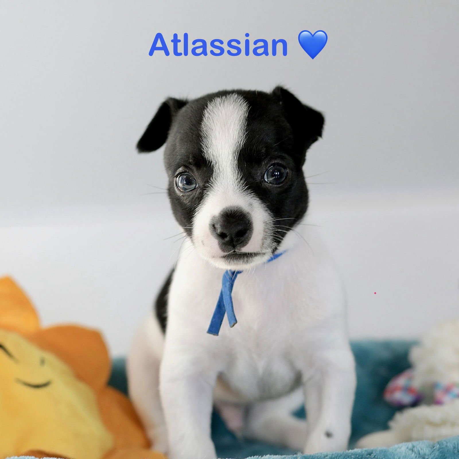 ATLASSIAN