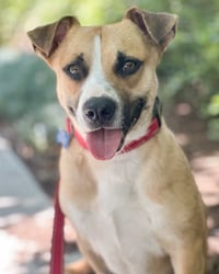 Sully - Photo 5